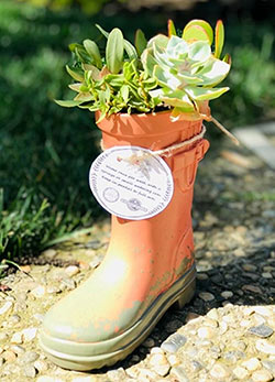 Succulent arrangement in a rain boot-shaped container